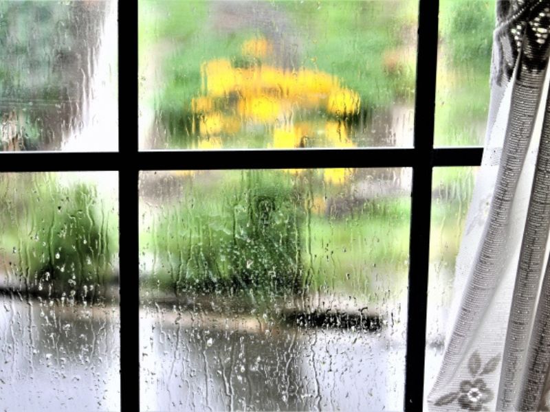 梅雨や台風の時期は避けるべき？雨が多い季節の外壁塗装の現実と対策