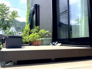 外壁にかかる植木の葉